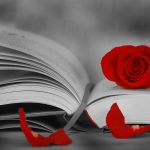 Miquel Martín proposa al Supermatí cinc llibres per aquest Sant Jordi