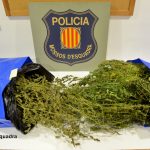 Desmantellen un grup criminal que assaltava plantacions de marihuana