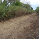 L’Ajuntament de Palamós realitza la neteja de vegetació dels trams urbans de les rieres Aubi i dels Huguets