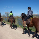 Torroella i l’Estartit, entre les destinacions turístiques més sostenibles