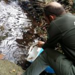 Exposició sobre la fauna del Ter