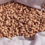 Artur Garcia: “Els romans ja conreaven el fesol de l’ull ros”