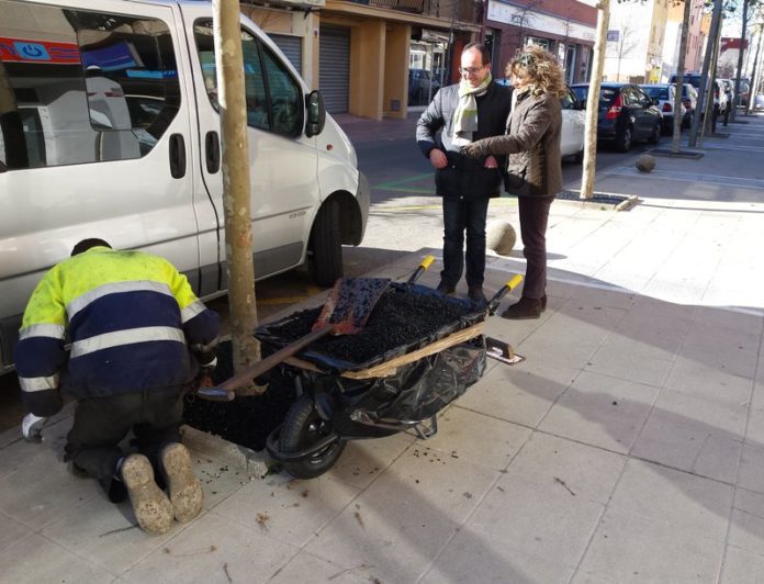 escocells alcalde palamos