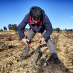 Programa de la DO Empordà per mimar les vinyes