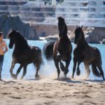 Torna la festa de Sant Antoni Abat a Sant Feliu