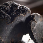 ‘Sopars amb tòfona’, la nova proposta dels restaurants de La Cuina de l’Empordanet tòfona