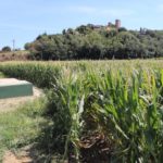 Alerta a l’aigua de la Bisbal per un nou fitosanitari Pou d'aigua a Fontanilles