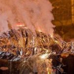 Enterrament de la Sardina 1-3-2017