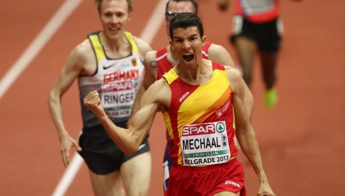 adel mechaal europa
