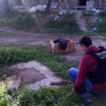 Localitzen un projectil d’artilleria de la Guerra Civil a les obres d’un mas de Calonge