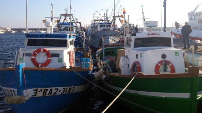 flota d'arrossegament de palamós vaixell barco barca pesca palamós