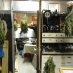 Fuig d’un control policial i troben quatre quilos de marihuana al seu domicili