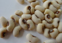 Fesol de l’ull ros