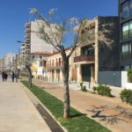 Passeig Sant Antoni Calonge_5552