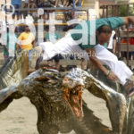 EXCLUSIVA: Torroella podria canviar el correbous pel corredracs