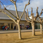 Palamós recupera la línia de P3 que no s’ha ofert aquest curs