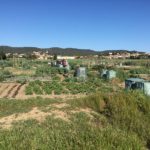 Un any de funcionament dels horts municipals de Palafrugell