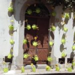 Begur en Flor aposta per instal·lacions sense flor natural per potenciar l’art sostenible