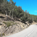 9 de cada 10 municipis tenen a punt els plans de delimitació de franges d’incendis