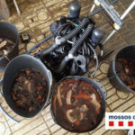 Detingut un pescador a Palamós per pràctiques prohibides