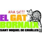 Torna una nova edició del Gat Bornaix