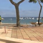 Les obres del passeig de Llafranc no estaran acabades abans de Sant Joan