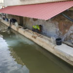 Torroella arranja l’emblemàtic safareig públic