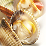 Tret de sortida a les Jornades Gastronòmiques ‘Tastets de Mar: La Clova’