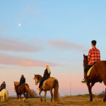 Mor una noia en desbocar-se uns cavalls en una excursió a l’Escala