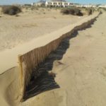 La Generalitat licita les obres per recuperar i protegir les dunes de les platges de Torroella i Pals
