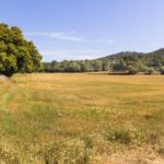 Urbanisme aprova la integració paisatgística de la platja de Castell a l’espera de Costes