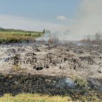 Un incendi crema una zona agrícola de Sant Joan de Palamós