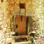 Desapareix la premsa d’oli del Mas Oliver de Palamós