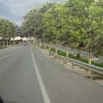 “Comporteu-vos com animals”: la nova campanya de SOS Empordanet