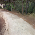 Sant Feliu torna a afrontar la urbanització de l’únic carrer sense asfaltar