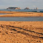 Presentades les IV Jornades gastronòmiques de l’Angula del Ter i del Rec del Molí de Pals