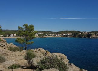 13 platges i 4 ports del Baix Empordà revaliden la Bandera Blava 2026