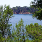 SOS Costa Brava vol impedir construir 20.000 habitatges més del pla director