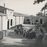 250 anys de l’empresa de taps de suro Trefinos de Palafrugell