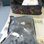 Els Mossos desarticulen un grup de venda de drogues a la Bisbal