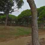 L’Ajuntament de Palamós defensa que ha actuat “correctament” per protegir la Pineda d’en Gori