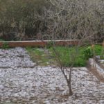 Les Gavarres, emblanquinades