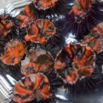 Èxit de la uriçada popular de Sant Feliu de Guíxols