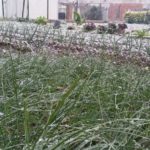 La neu fa acte de presència a Girona i cauen flocs en poblacions poc habituals de la Costa Brava