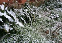 Activada l’alerta NEUCAT per nevades aquest divendres al centre i nord-est de Catalunya