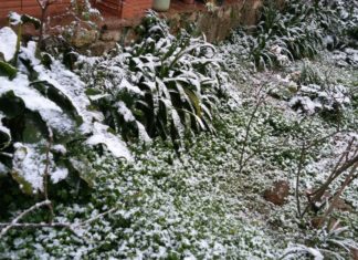 Activada l’alerta NEUCAT per nevades aquest divendres al centre i nord-est de Catalunya