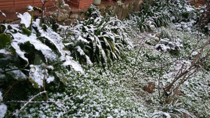 Nevada a Palafrugell