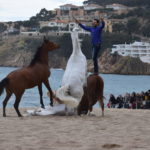 Se celebra la festivitat de Sant Antoni Abat a Sant Feliu de Guíxols