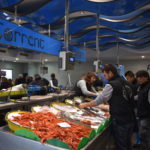 Llotja Palamós peix peixos (3) gamba