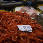 Llotja Palamós peix peixos (5) gamba gamba